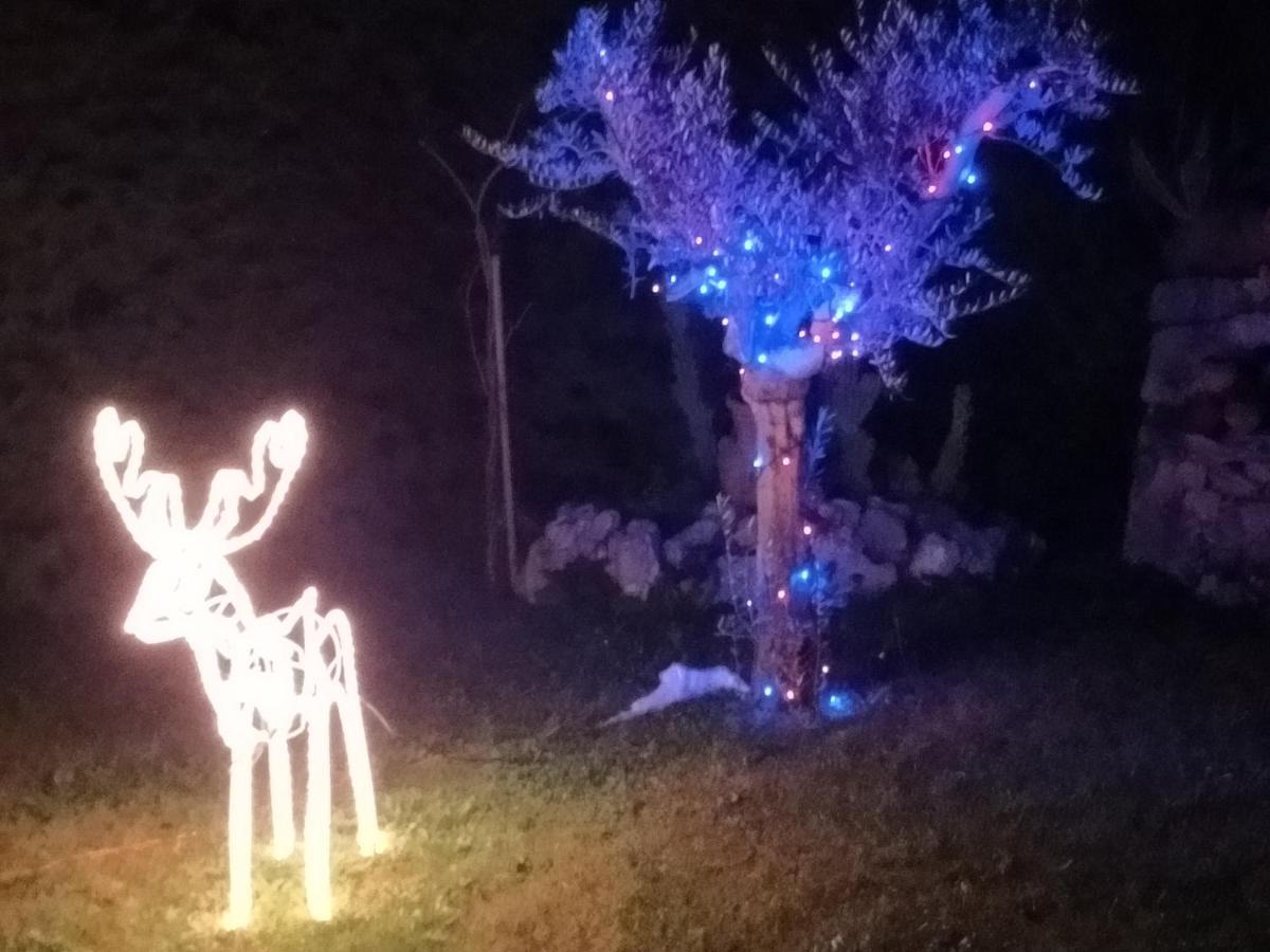 B&B Il Giardino Di Eolo Pietramelara Экстерьер фото